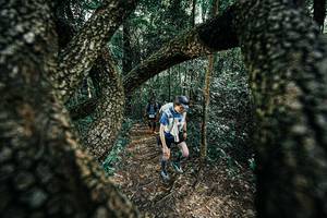 BIB: 
                            <button type="button" onclick="openModal(25392064)" class="btn btn-primary btn-sm float-right btn-popup" data-toggle="modal" data-target=".modal-high-quality">
                        <i class="fas fa-shopping-cart"></i> Add to Cart
                    </button>
                                            <button type="button" onclick="isThisMe(25392064, true)" class="btn btn-success btn-sm float-right btn-popup btn-isme hidden" data-toggle="tooltip" data-placement="bottom" title="นี่คือรูปของคุณใช่ไหม คลิกที่นี่เพื่อเอาเข้าอัลบั้ม">
                        <i class="fas fa-plus"></i> Add to album
                    </button>
                    <button type="button" onclick="isThisMe(25392064, false)" class="btn btn-warning btn-sm float-right btn-popup btn-isnotme hidden">
                        <i class="fas fa-ban"></i> Remove from album
                    </button>